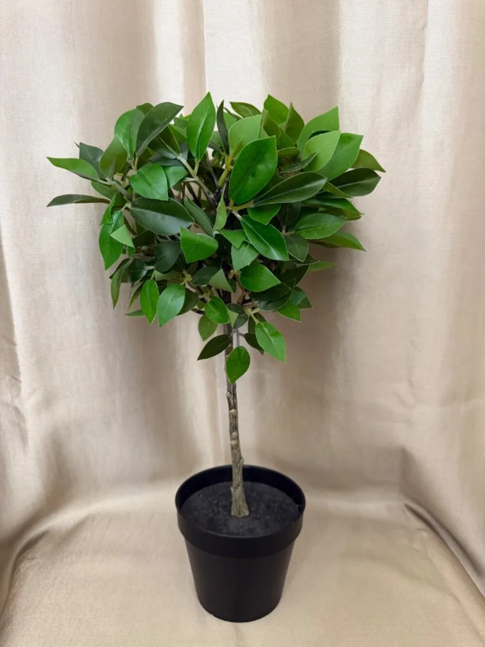 Artificial Fig Potted Plants